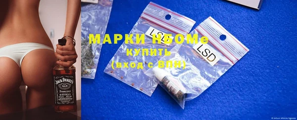прущие грибы Переславль-Залесский
