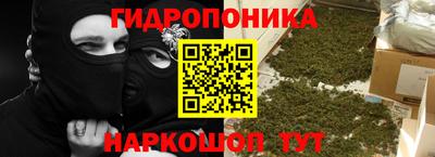 бошки Ставрополь