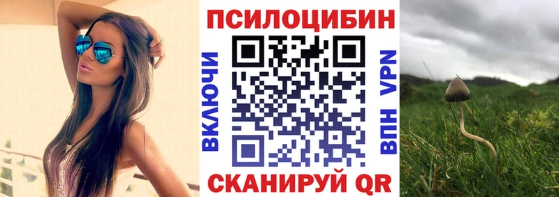купить закладку Сибай Псилоцибиновые грибы MAGIC MUSHROOMS